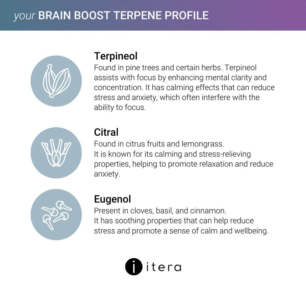 your Brain Boost Pack